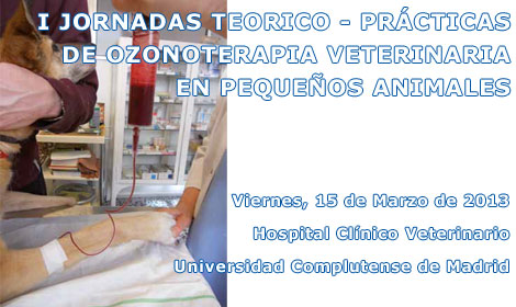 I Jornada Teorico práctica de ozonoterapia veterinaria en pequeños animales