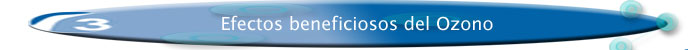 Historia